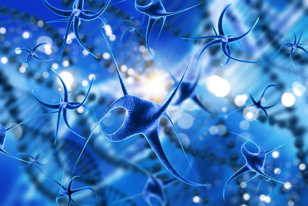 Stimulation von Neuronen durch Peptide