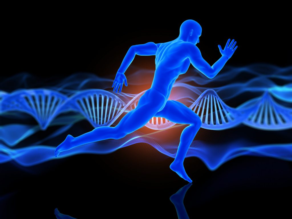 Die Peptide verbessern  die Lebensqualität