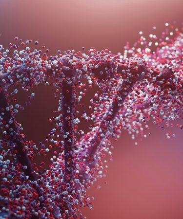 Eine abstrakte 3D-Doppelhelix, die sich unter oxidativem Stress in Moleküle auflöst – DNA-Reparatur durch Peptide.