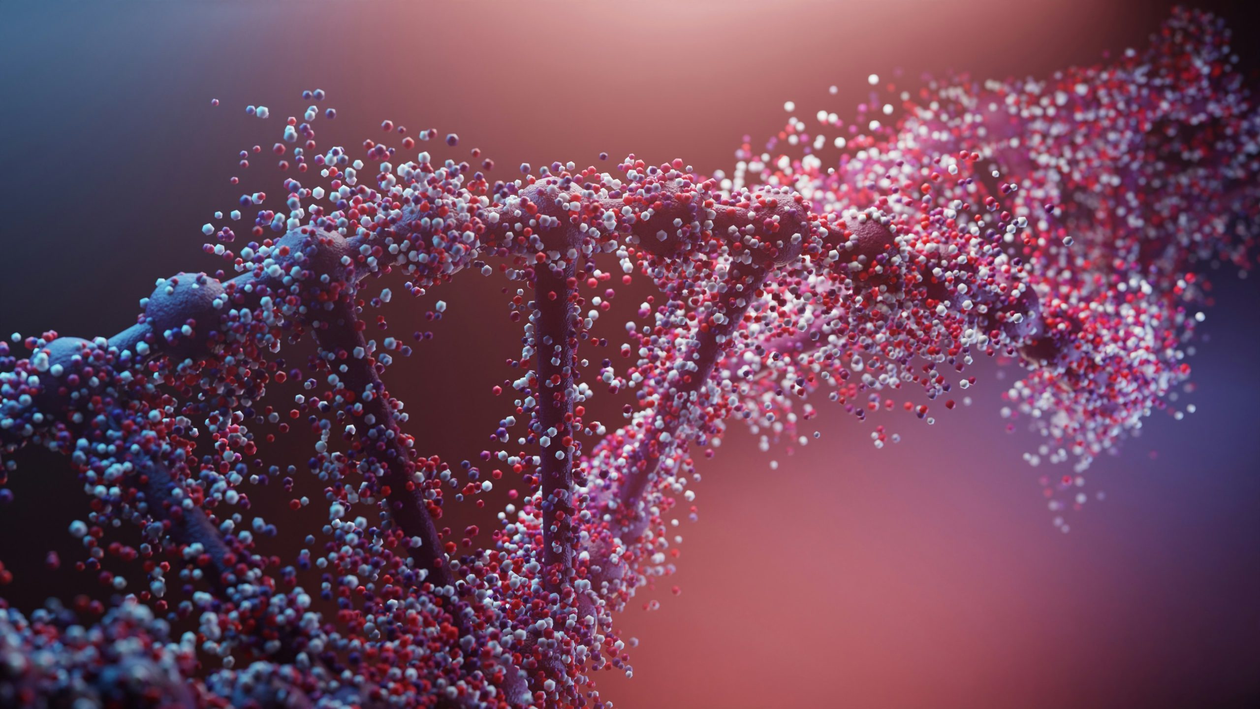 Eine abstrakte 3D-Doppelhelix, die sich unter oxidativem Stress in Moleküle auflöst – DNA-Reparatur durch Peptide.