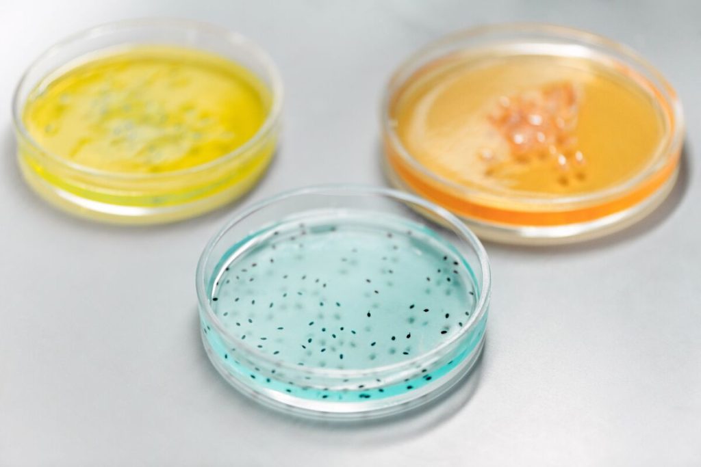 Forschung zu Peptiden und ihren Anwendungen